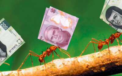 Gastos hormiga y como afectan a nuestro bolsillo.